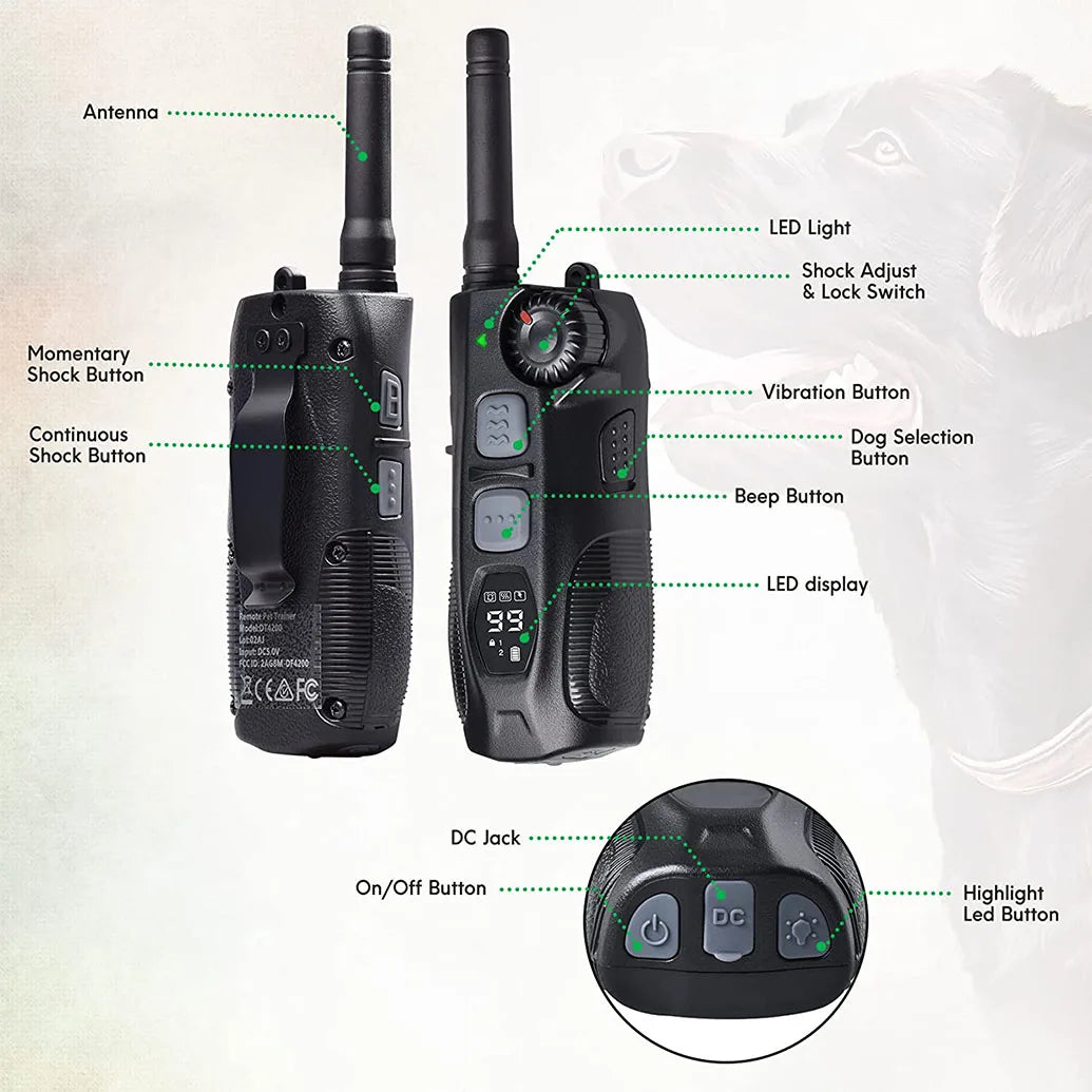 Training Collar