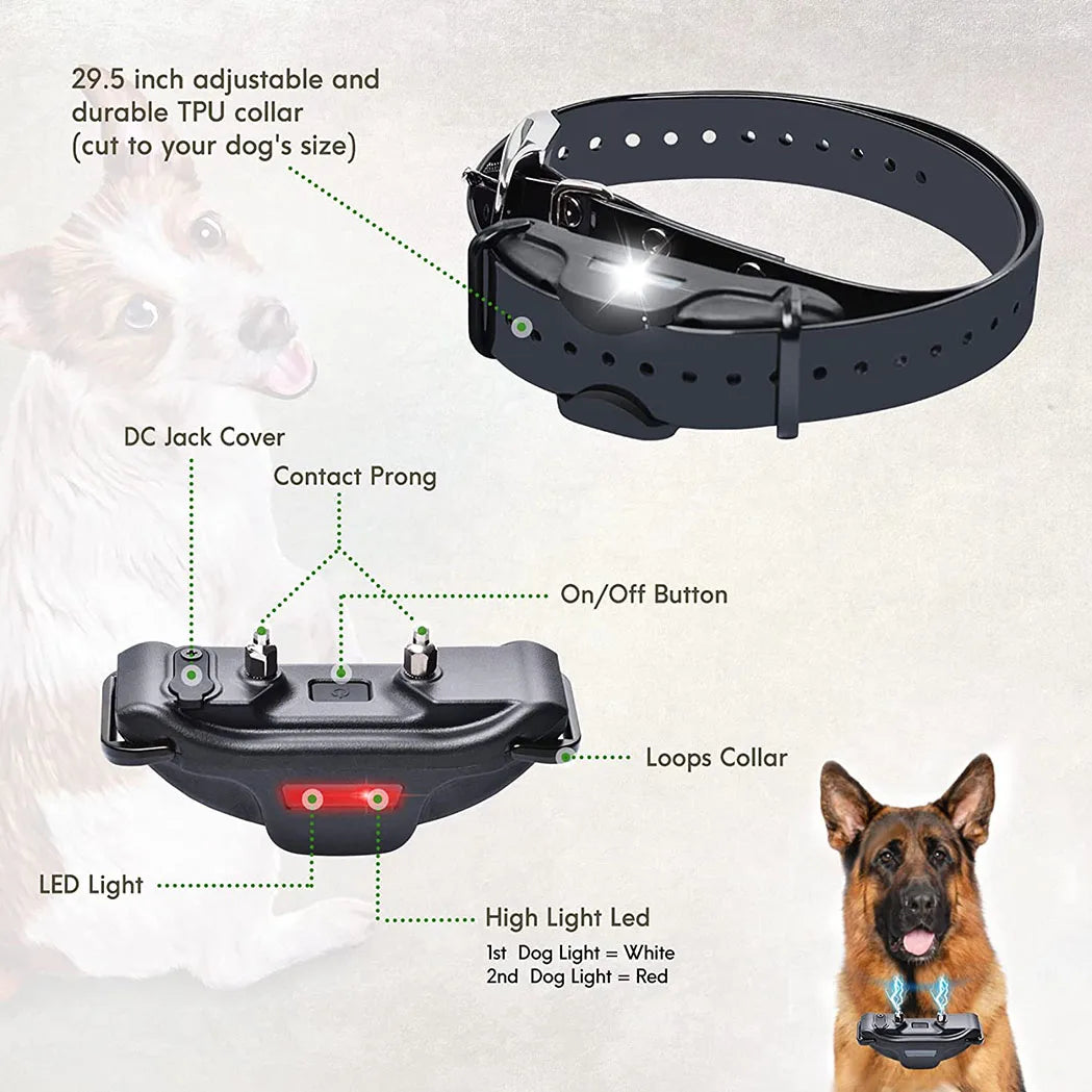 Training Collar
