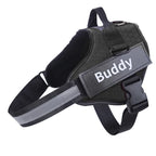 Personalized Dog Harness, NO PULL, Reflective, Adjustable