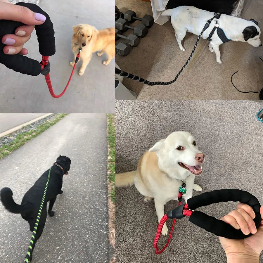 Dog Leash, Reflective, 1.5M Long w/Comfortable Padded Handle