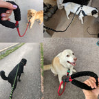 Dog Leash, Reflective, 1.5M Long w/Comfortable Padded Handle