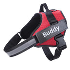 Personalized Dog Harness, NO PULL, Reflective, Adjustable
