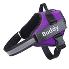 Personalized Dog Harness, NO PULL, Reflective, Adjustable