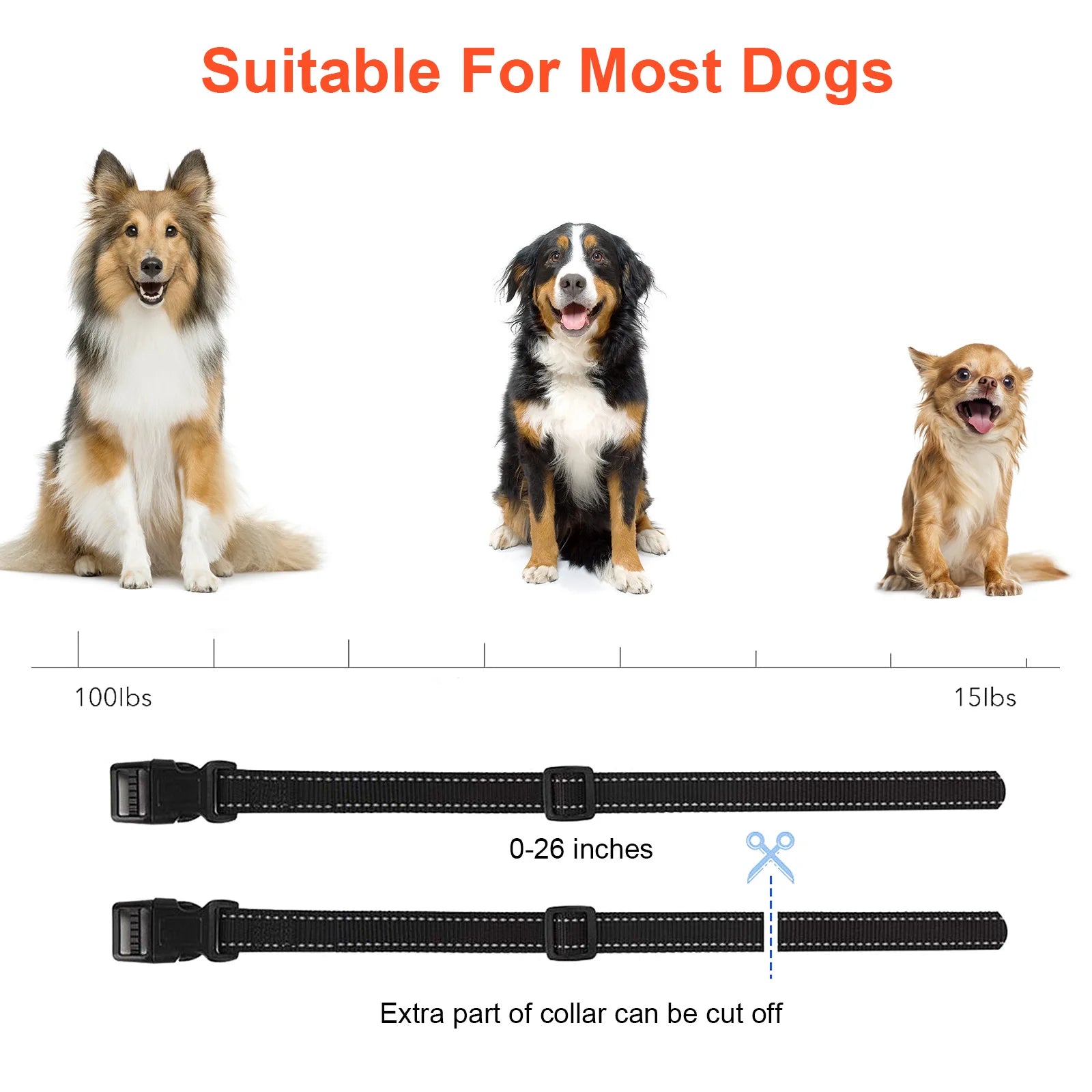 Pet Dog Electric Fence, Waterproof, Rechargeable, Dog Training