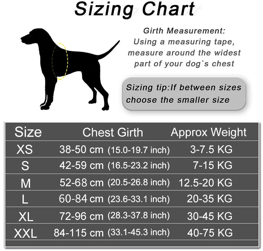 Personalized Dog Harness, NO PULL, Reflective, Adjustable