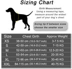 Personalized Dog Harness, NO PULL, Reflective, Adjustable