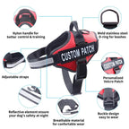 Personalized Dog Harness, NO PULL, Reflective, Adjustable