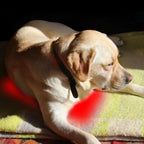 Pet Heating Pad Electric USB For Dogs/Cats