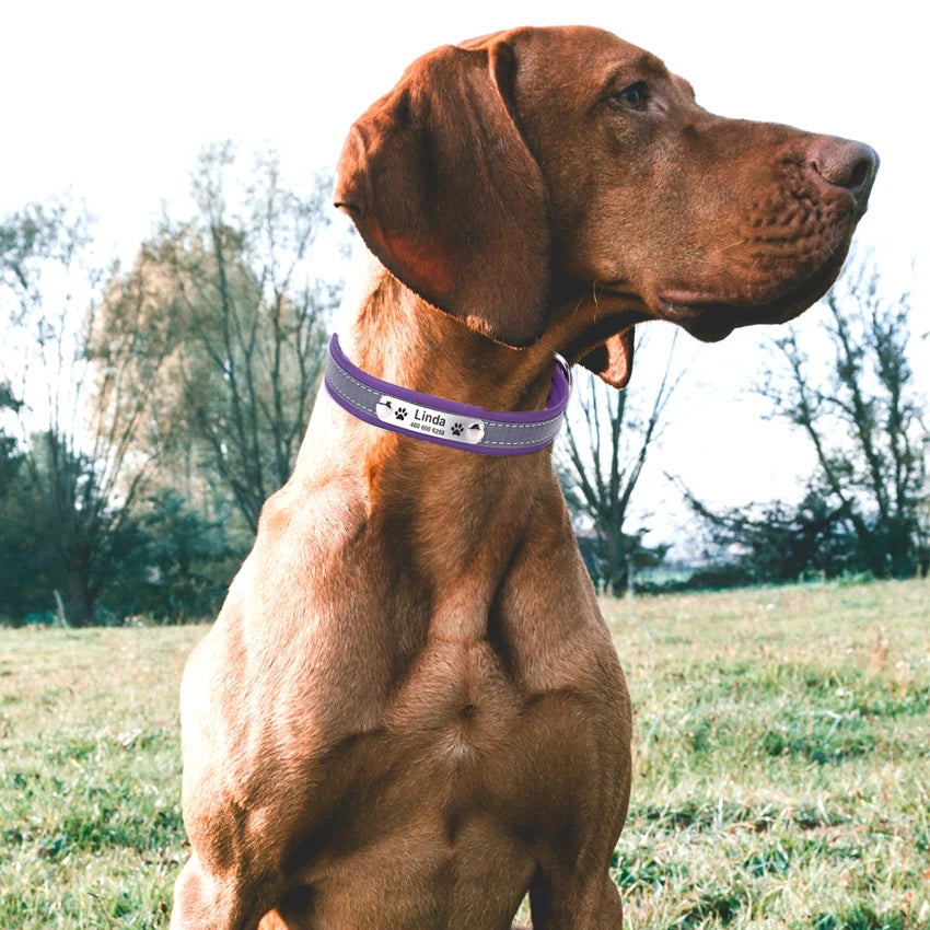 Custom Engraved Dog Collar, Leather Reflective