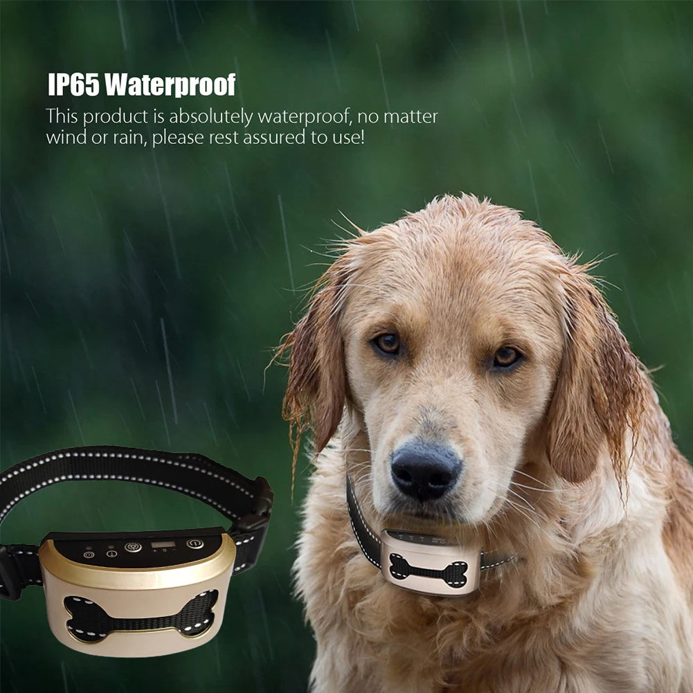 Dog Anti Bark Guard, Waterproof, rechargeable