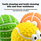 Latex Squeaky Dog Toy, Bite Resistant