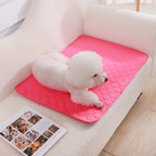 Dog Pee Pad Blanket, Reusable Absorbent