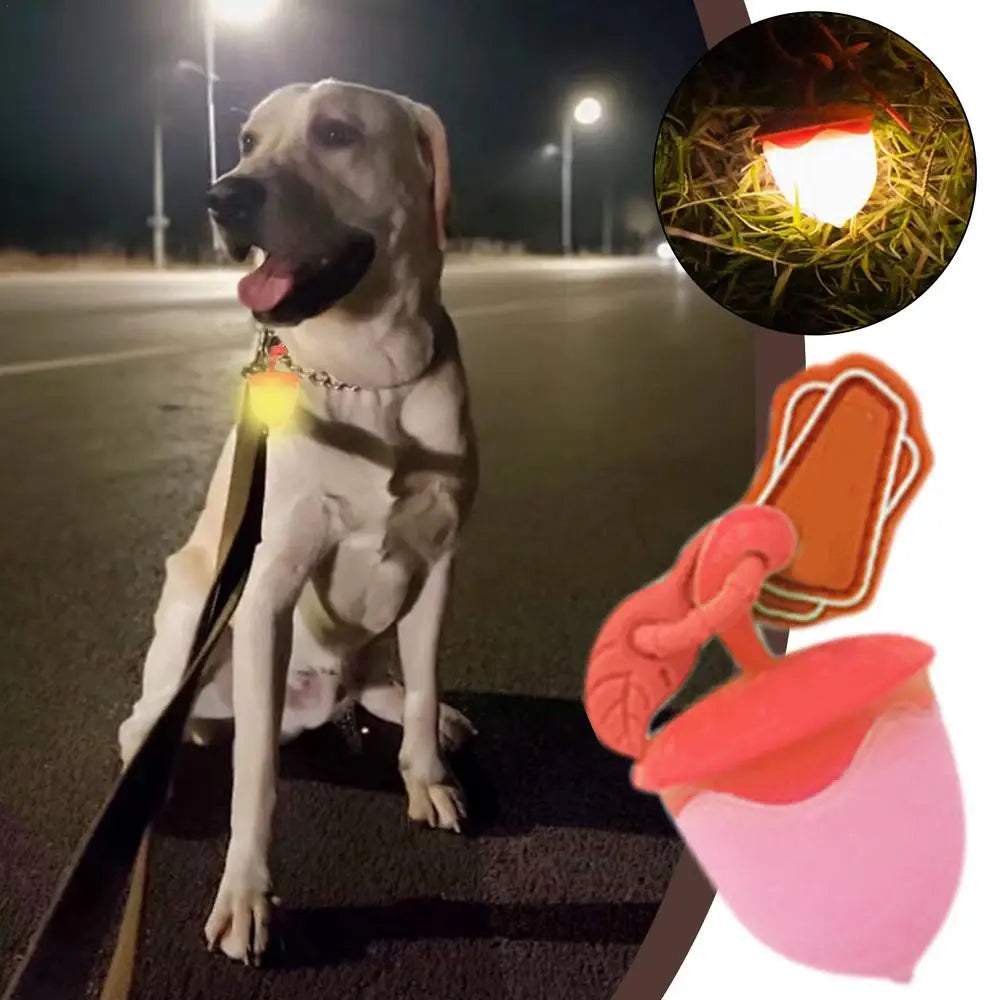 Dog Walking Light Waterproof Dog Collars