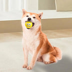 Latex Squeaky Dog Toy, Bite Resistant