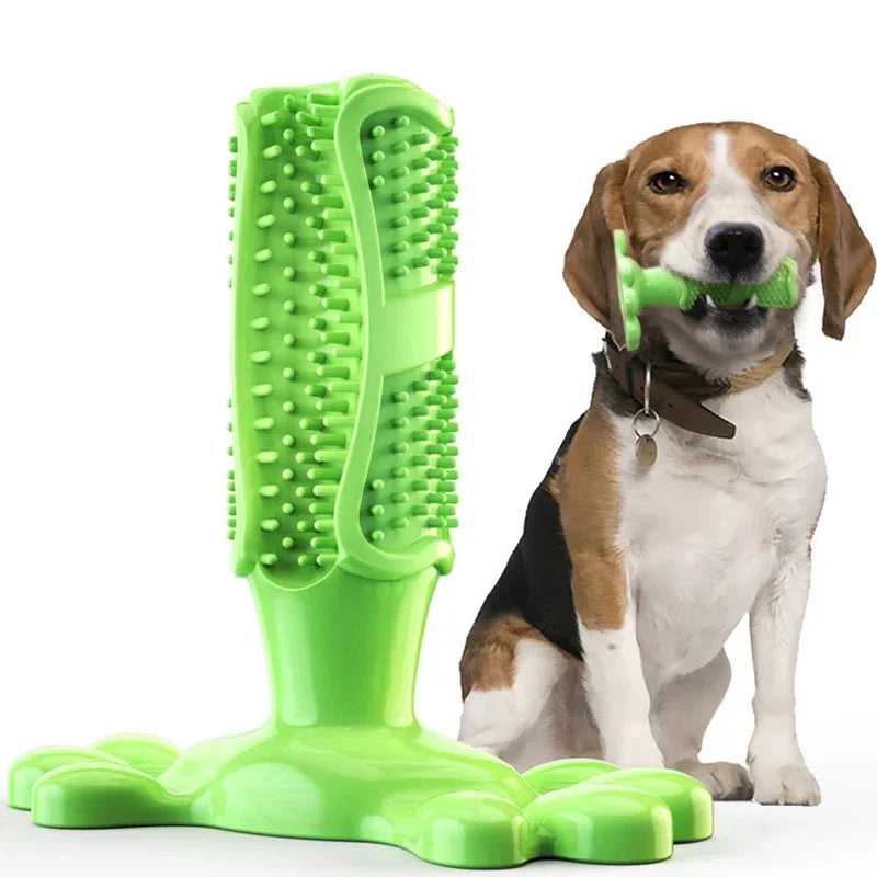 Dog Cactus Chew Toys, Cleaning Toothbrush