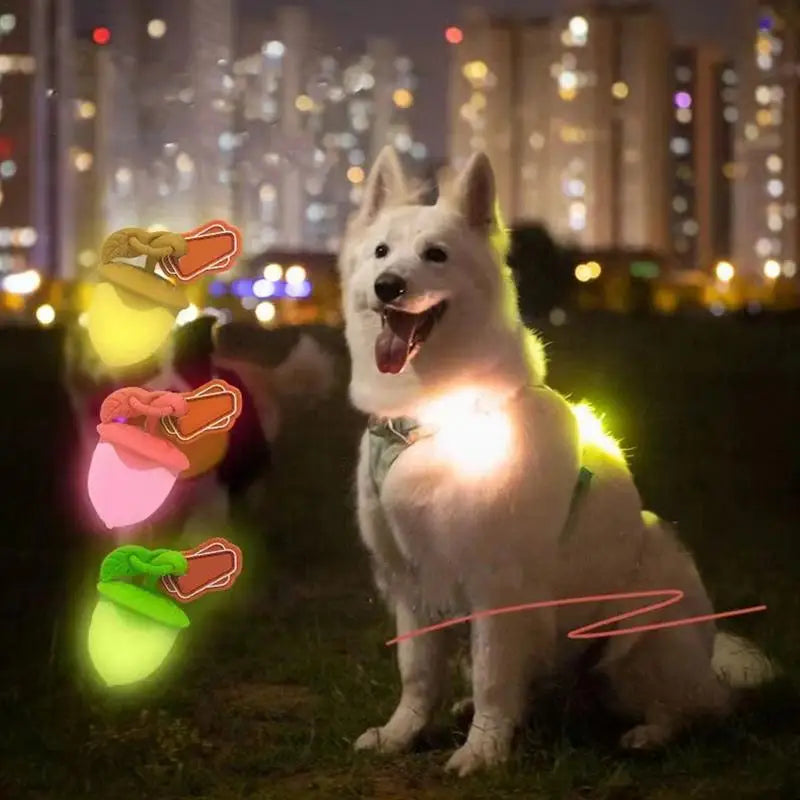Dog Walking Light Waterproof Dog Collars