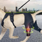 Dog Knee Brace Pet, Orthopedic Hip Hock Support Brace