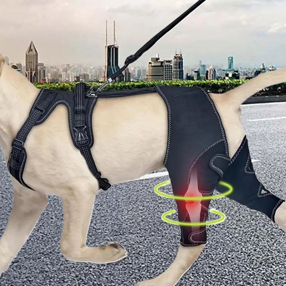 Dog Knee Brace Pet, Orthopedic Hip Hock Support Brace
