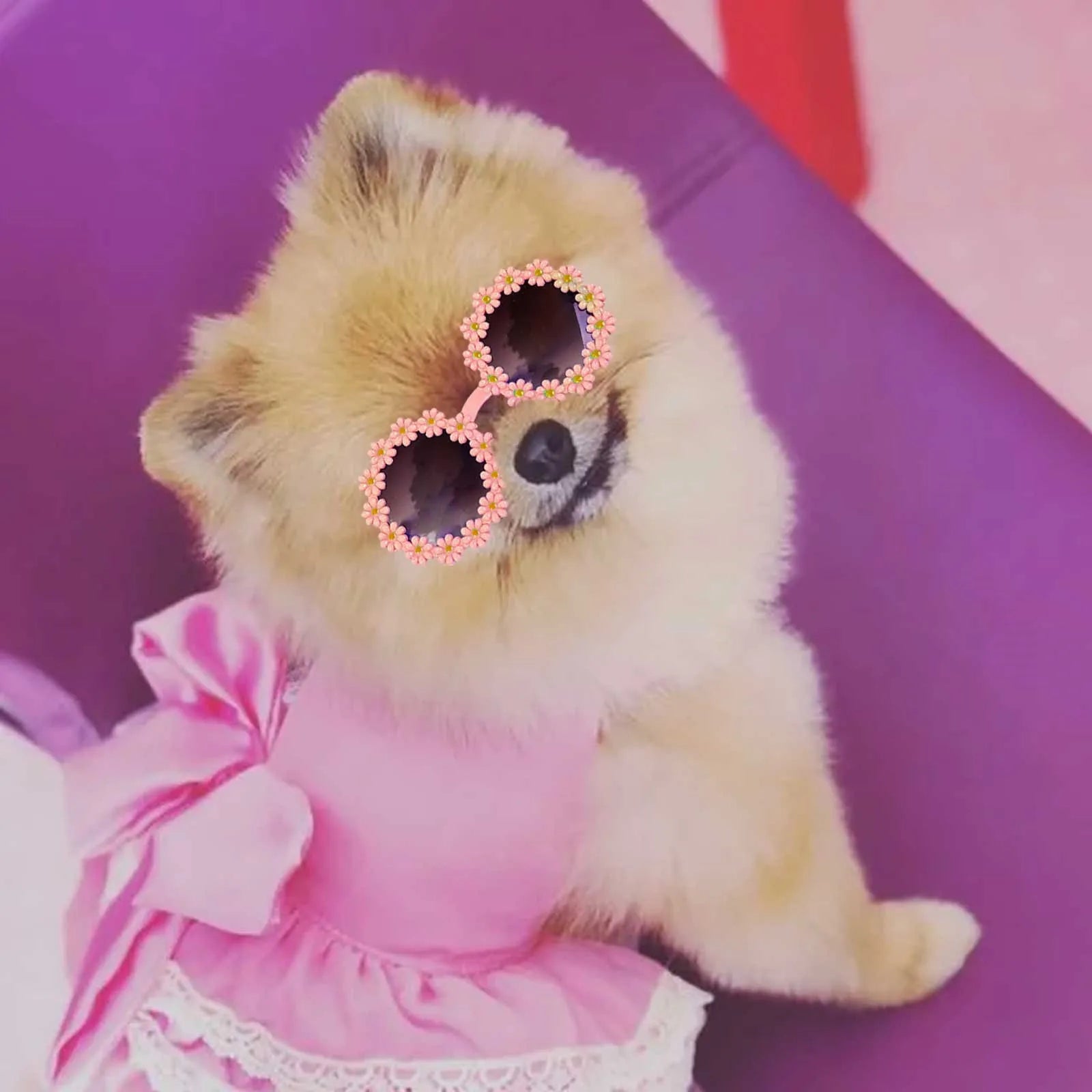 Pet Accessories Flower Sunglasses