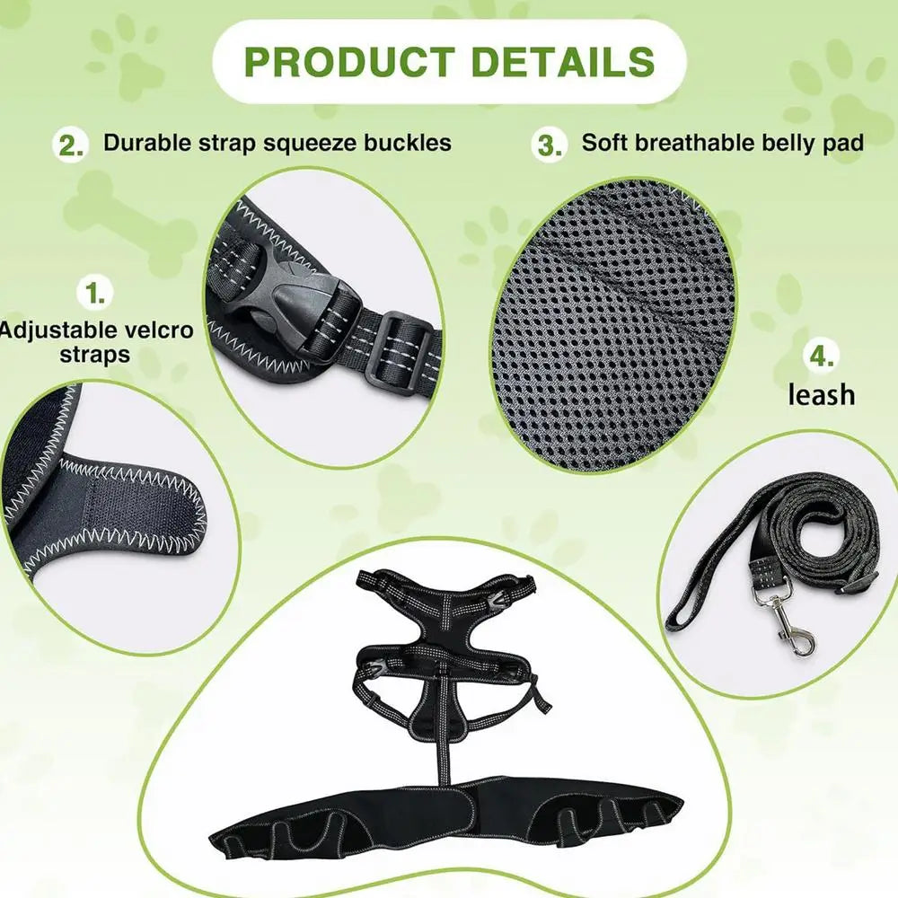 Dog Knee Brace Pet, Orthopedic Hip Hock Support Brace