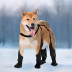 Outdoor Walking Dog Boot Leggings, Suspender