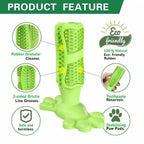 Dog Cactus Chew Toys, Cleaning Toothbrush