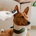 Vet Tech Pet Thermometers Accurate Fever Detection