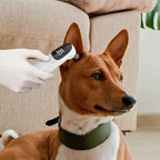 Vet Tech Pet Thermometers Accurate Fever Detection