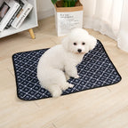 Dog Pee Pad Blanket, Reusable Absorbent
