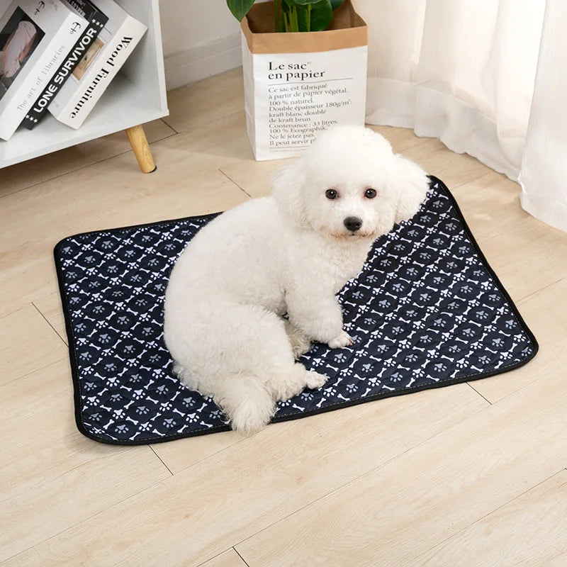 Dog Pee Pad Blanket, Reusable Absorbent