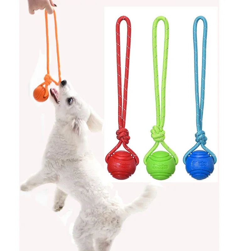 Dog Training Ball on Rope, Catching, Throwing, Tugging