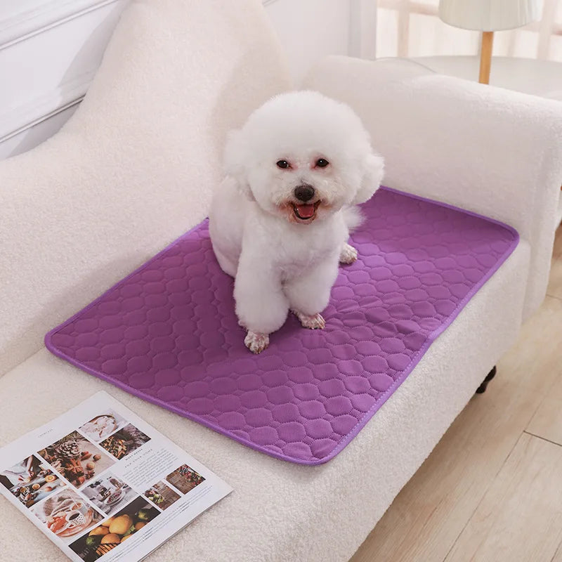 Dog Pee Pad Blanket, Reusable Absorbent