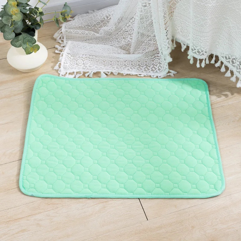 Dog Pee Pad Blanket, Reusable Absorbent
