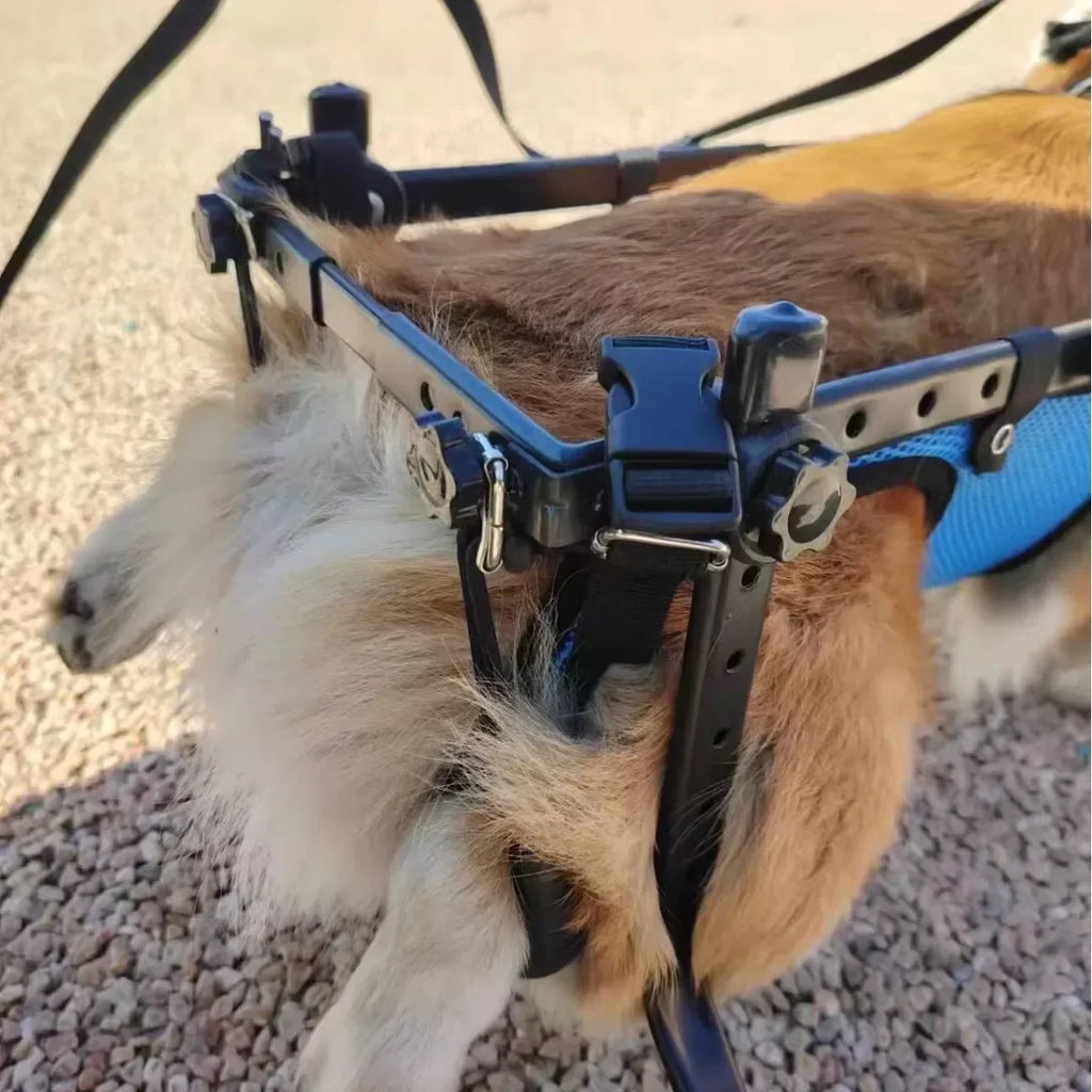 Durable Disabled  Dog Wheelchair