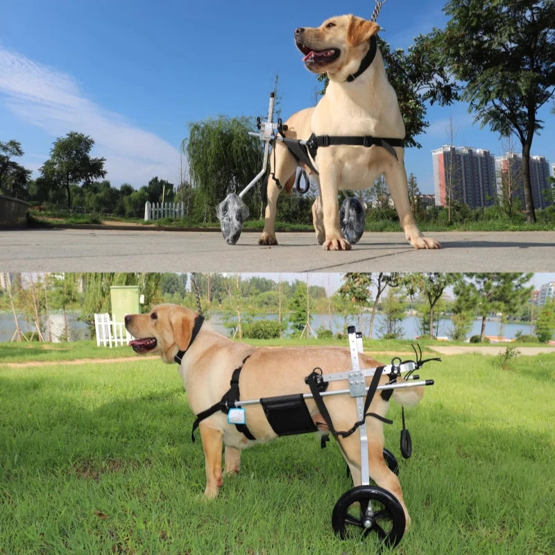 Large Dog Wheelchair for Hind Limb Rehabilitation