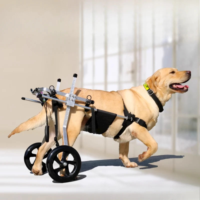 Large Dog Wheelchair for Hind Limb Rehabilitation
