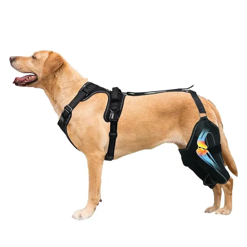Rear Leg Braces For Dogs Adjustable, Medium/Large