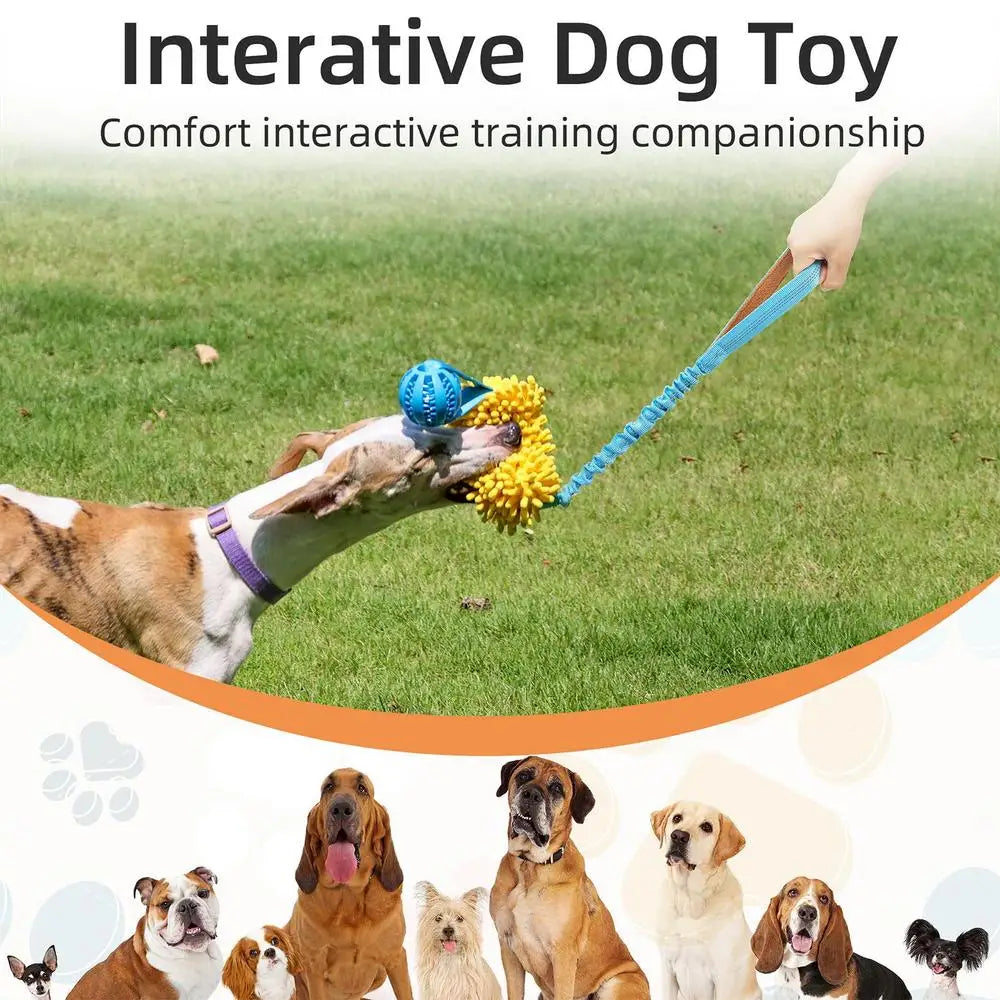 Dog Squeaky Rope Toy, Dog Chew Toys