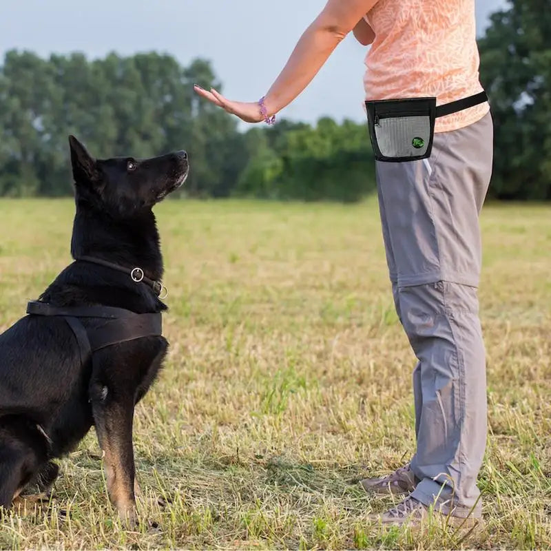 Dog Treat Pouch Magnetic Closure, Waist Bag