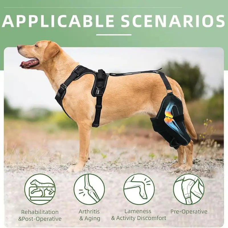 Rear Leg Braces For Dogs Adjustable, Medium/Large