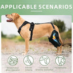 Rear Leg Braces For Dogs Adjustable, Medium/Large