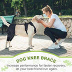 Dog Knee Brace Pet, Orthopedic Hip Hock Support Brace