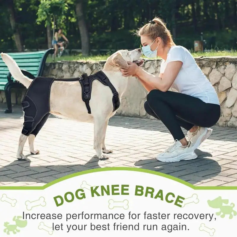 Dog Knee Brace Pet, Orthopedic Hip Hock Support Brace