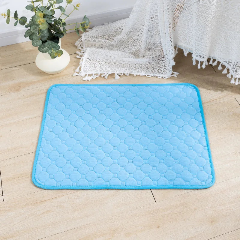 Dog Pee Pad Blanket, Reusable Absorbent