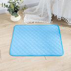 Dog Pee Pad Blanket, Reusable Absorbent