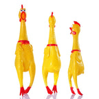 Dog Toy Screaming Chicken w/Squeezing Sound