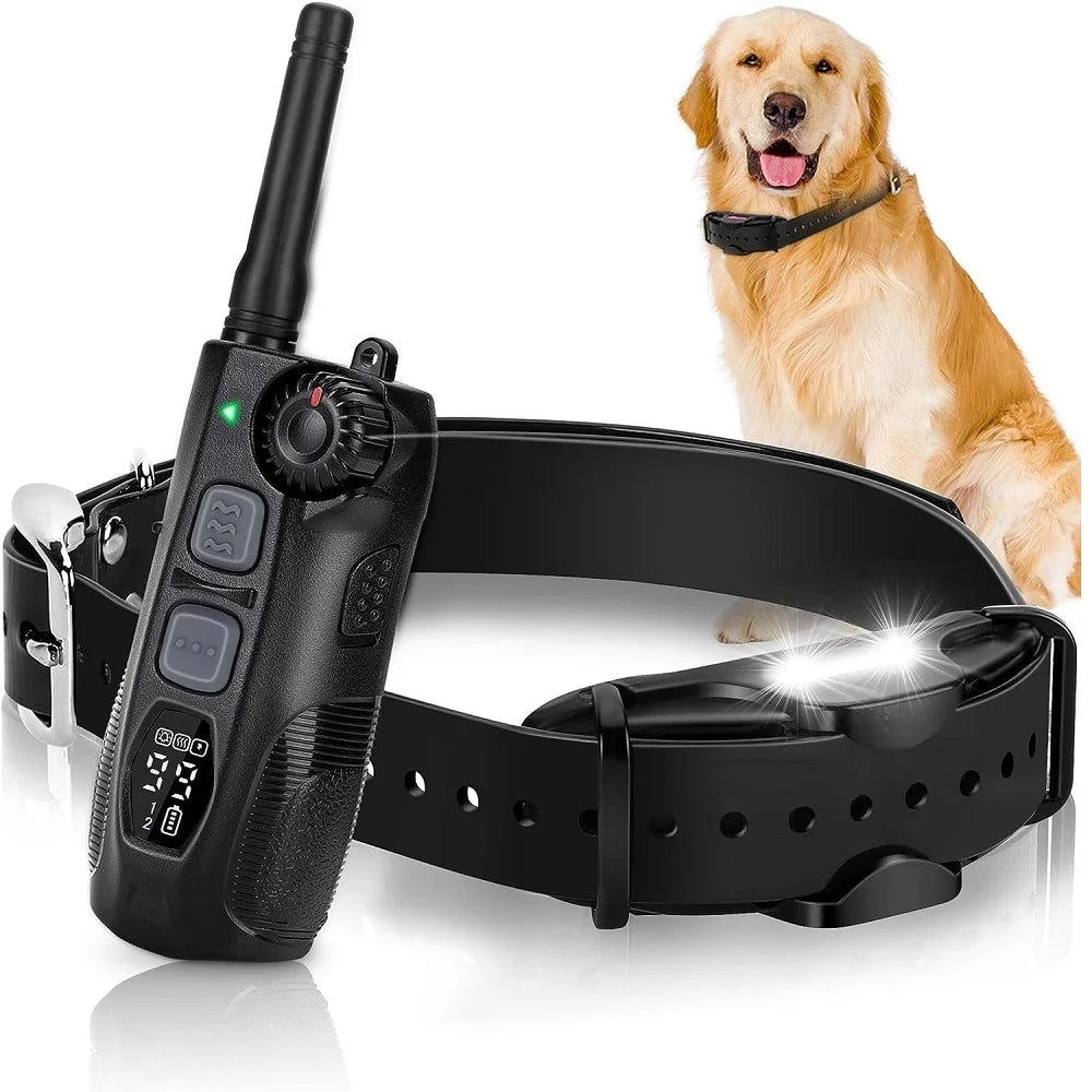 Training Collar