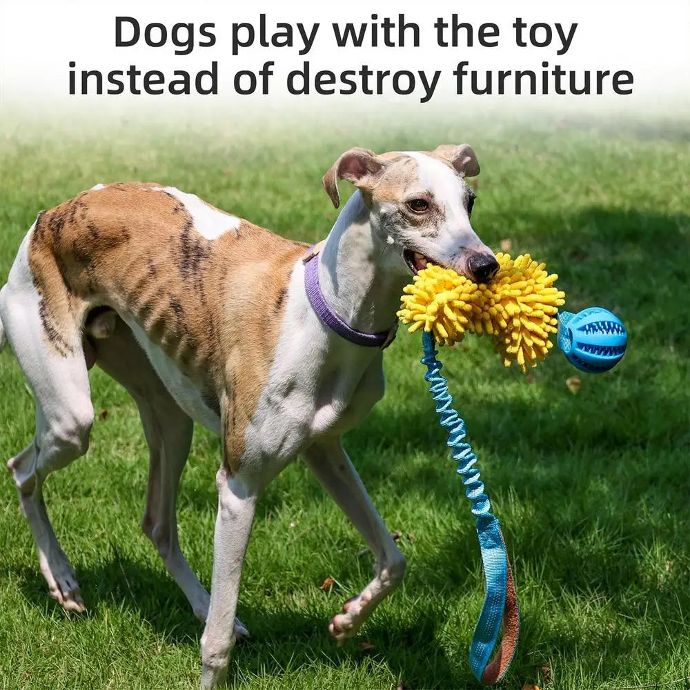 Dog Squeaky Rope Toy, Dog Chew Toys