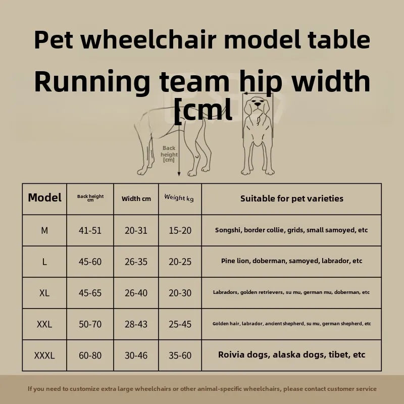 Large Dog Wheelchair for Hind Limb Rehabilitation