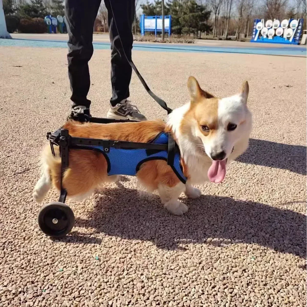 Durable Disabled  Dog Wheelchair